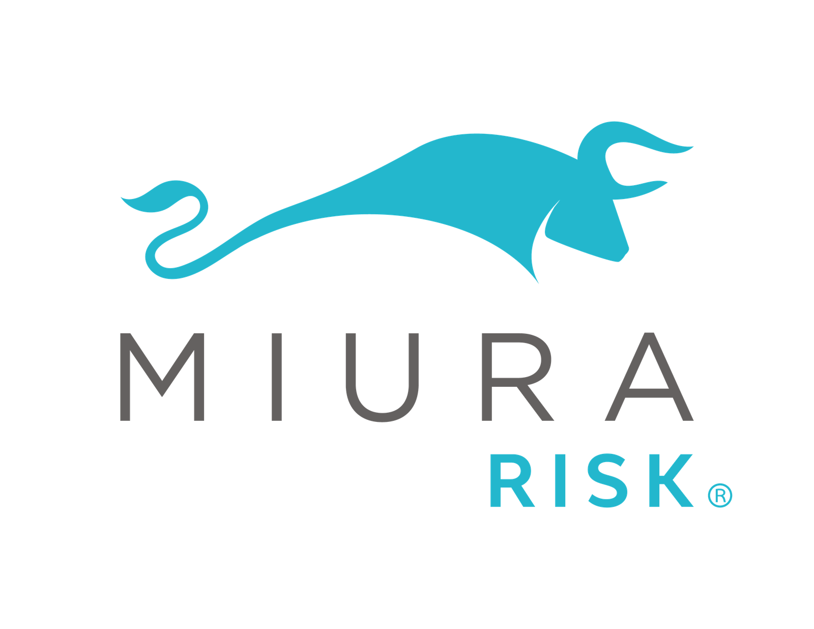 MIURA Risk